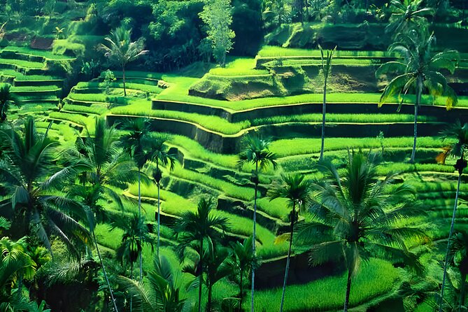 Ubud Night Half Day Trip With Legong Dance Performance - Health and Accessibility Guidelines