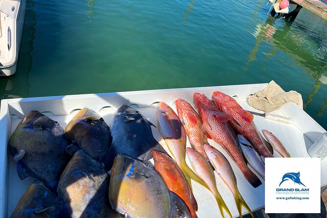 Ultimate Fish, Snorkel & Cruise 3/4 Day - What to Expect