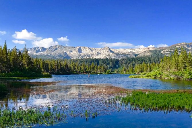 Ultimate Yosemite & Lake Tahoe Review - Booking Information