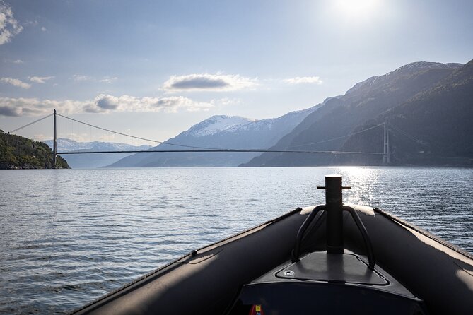 Ulvik RIB Adventure Tour to Hardangerfjord & Osafjord - Accessibility and Mobility Considerations