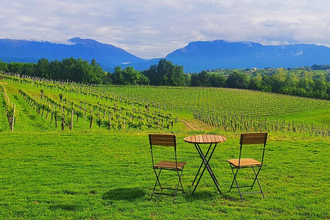 Unconventional Prosecco Tasting With Stunning View on Vineyards - Inclusive and Accessible Experience