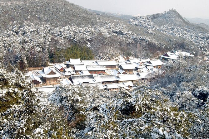 UNESCO Tongdosa Temple + Gourmet Eonyang Style Bulgogi Lunch - Tour Inclusions and Benefits