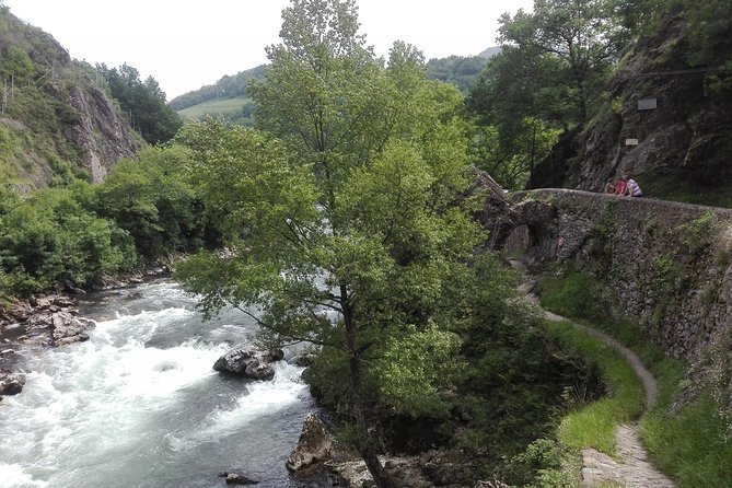 Unspoiled FRENCH BASQUE COUNTRYSIDE - Private Cultural Adeventure - Traveler Testimonials and Feedback