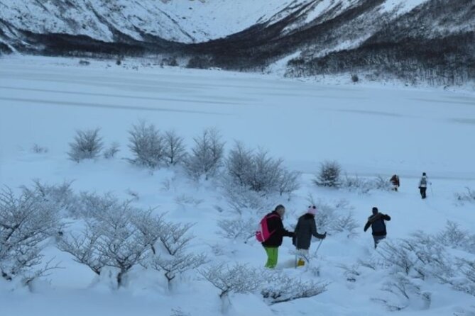 Ushuaia: Full Day Snow: Sledding With Huskies Snowmobile 4x4 - 4x4 Snow Tracked Adventure