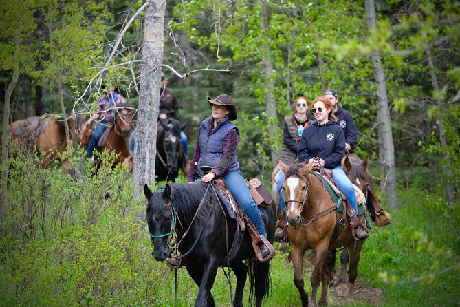 Valley Vista 1.5 Hour Horseback Trail Ride in Kananaskis - Terrain and Scenery