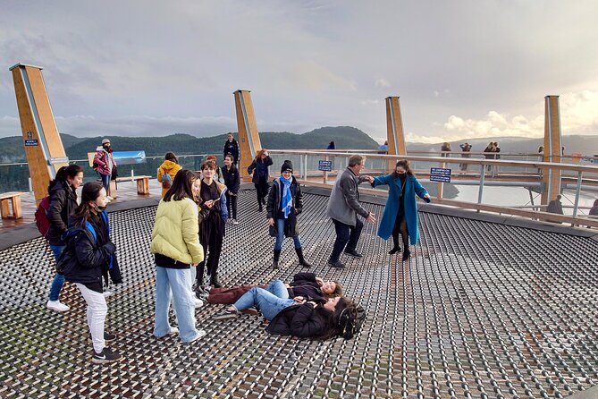 Vancouver Island & Malahat SkyWalk & Cidery Tour - Positive Traveler Reviews
