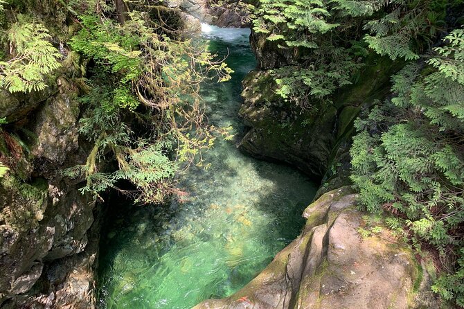 Vancouver Rainforest Hike With Waterfalls, Suspension Bridge, Old Growth Forest - Guide and Customer Feedback