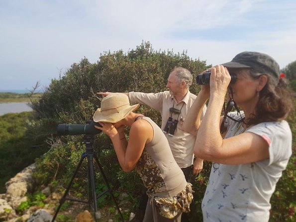 Vendicari - Sicilys Best Coast Nature Reserve ( Birdwatching & Archeology ) - Ancient Roman Villa Exploration