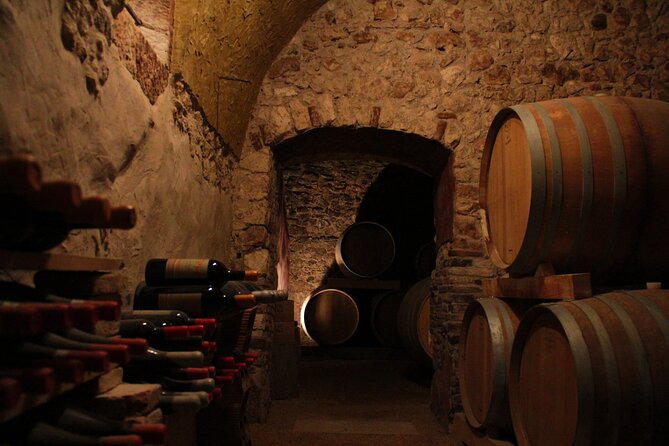 Verona - Cellar Tour and Tasting of NATURAL WINES - Exploring the Cellar