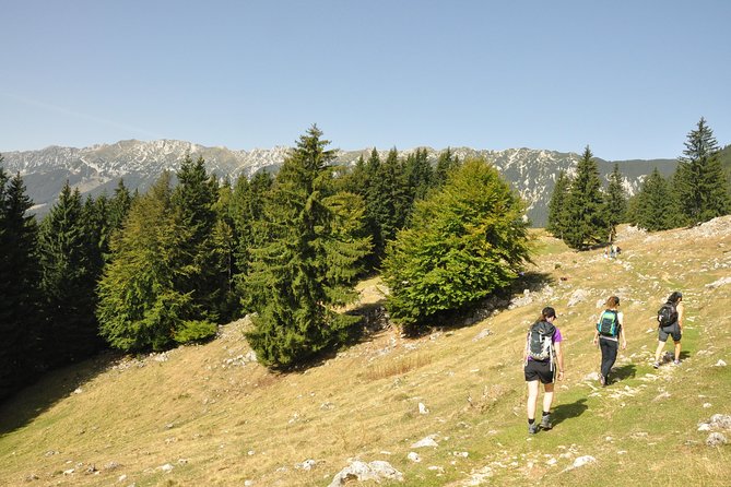 Village Life in Transylvanian Carpathian Mountains - 8 Days - Accommodation and Dining Experiences