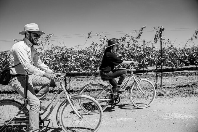 Vineyards, Wine Tasting and Pairing in San Miguel - Sample Menu