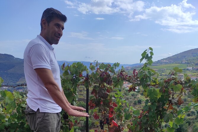 Vinho Verde 2 Wineries + Guimarães - From Porto - Customer Feedback and Ratings