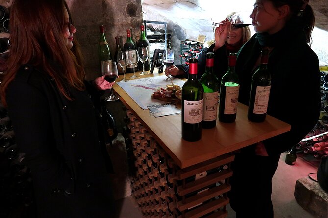 Vintage Wine Tasting in Bordeaux - Reviews and Customer Feedback