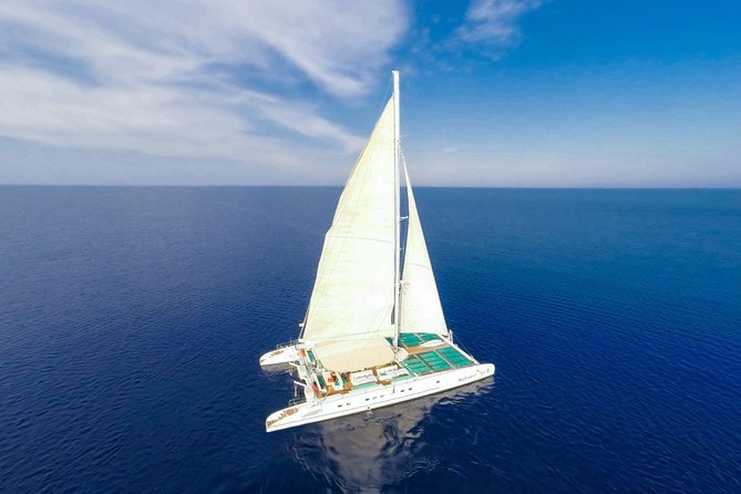 VIP Catamaran Cruise From Ayia Napa - Customer Feedback Highlights