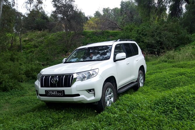 VIP Transfer Between Tunis Carthage Airport and a Hotel in Tunis - Experience During the Ride