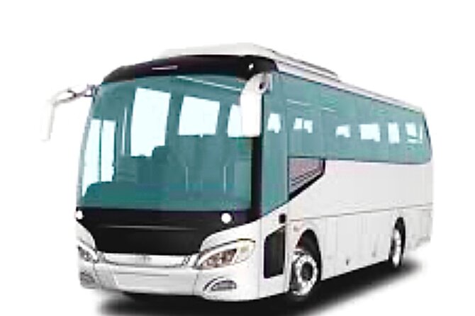 VIP Transfer: From Punta Cana Airport to Bávaro/Cap Cana - Accessibility and Accommodations