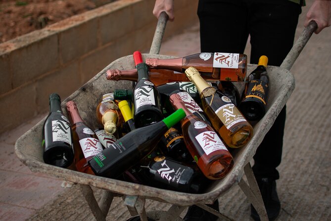 Visit and Guided Tasting at Vives Ambros Winery in Montferri - Sum Up