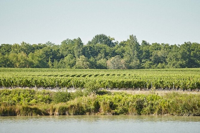 Visit Andtasting Grand Cru Margaux Since 1855, Medoc Wine Route - Planning Your Visit