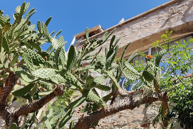 Visit of the Medieval Village of Èze - Scenic Views of the French Riviera