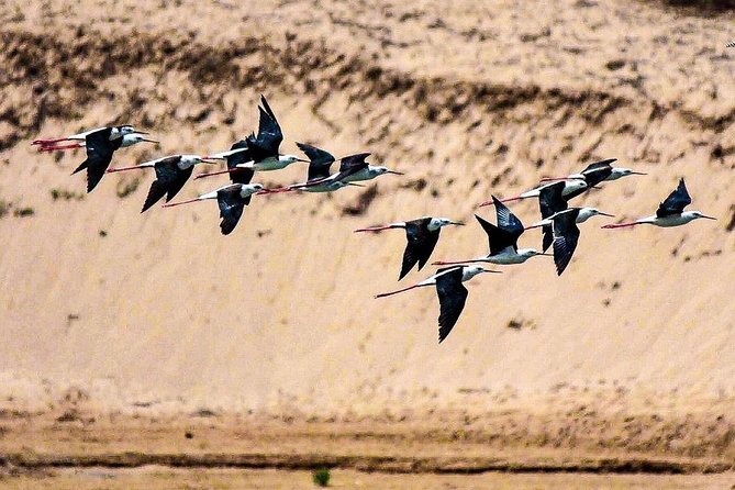 Visit the Souss Massa National Park Including Lunch From Agadir - Pricing Structure and Policies