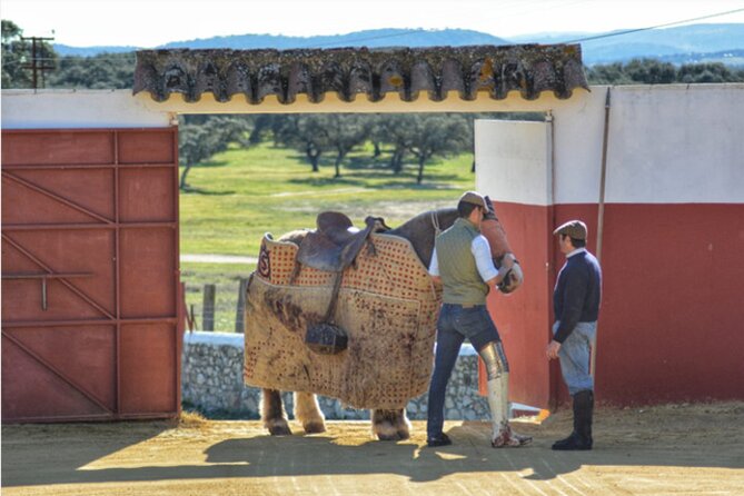 Visit to a Brave Bull Farm in Andalusia - Iberian Products and Aperitif