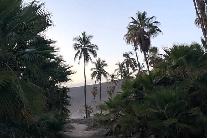 Visit Todos Santos Magic Town - Hike to Old Port Cliffs