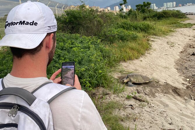 Visit Tortuguero Camp & Turtle Release - Visitor Feedback Themes