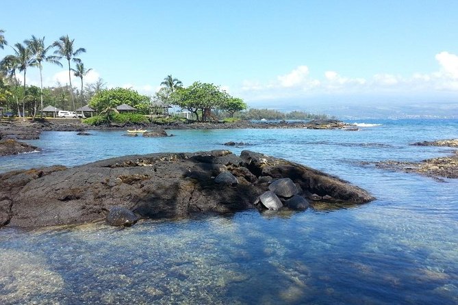 Volcano Adventure Tour & Waterfall - Shore Excursion From Hilo Harbor - Pricing and Availability