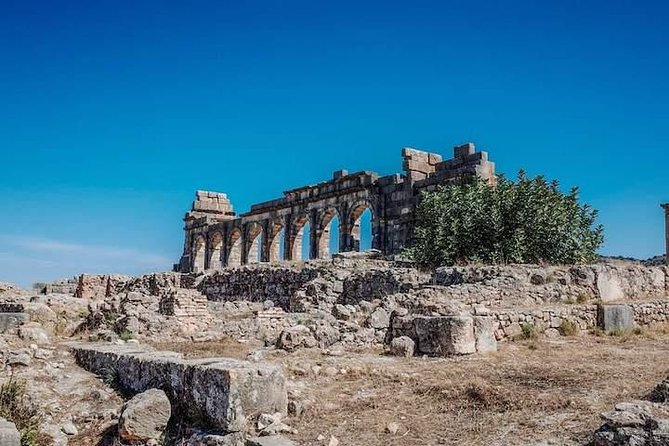 Volubilis and Meknes Day Trip From Fez - Inclusions and Pricing