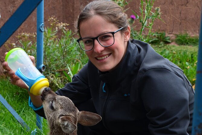 Voluntering at the Cochahuasi Sanctuary - Booking and Practical Details