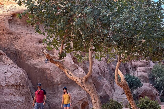 Wadi Rum Short Tours - Pricing and Booking Information
