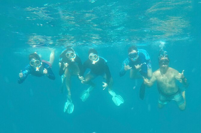 Waikiki Small Group Turtle Snorkeling & Sailing - Crew and Wildlife Highlights