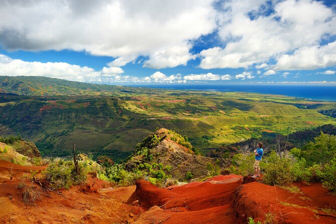 Waimea Canyon Private Tour With Local Guide - Kauai Coffee Plantation Tour