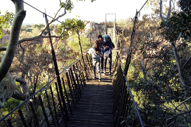 Walk With Elephants Experience Plus Monkey Forest Walk - Ethical Animal Interactions
