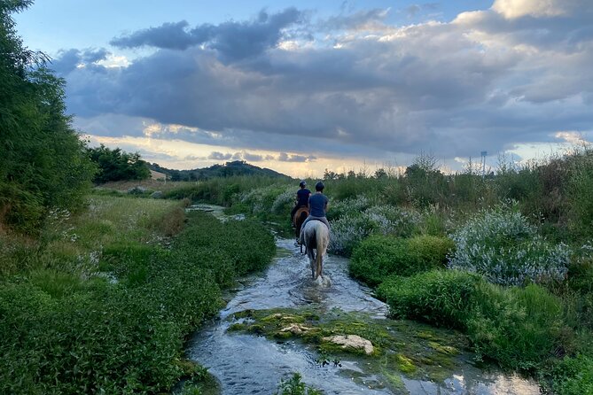 Walking In Nature: A Review of Serenity - Testimonials From Satisfied Participants