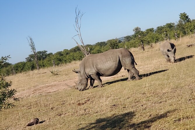 Walking Safari - Preparing for Your Walking Safari
