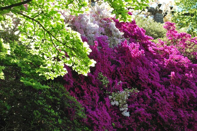Walking Tour With a Private Tour Guide in the Botanical Gardens of Villa Taranto - Tour Schedule