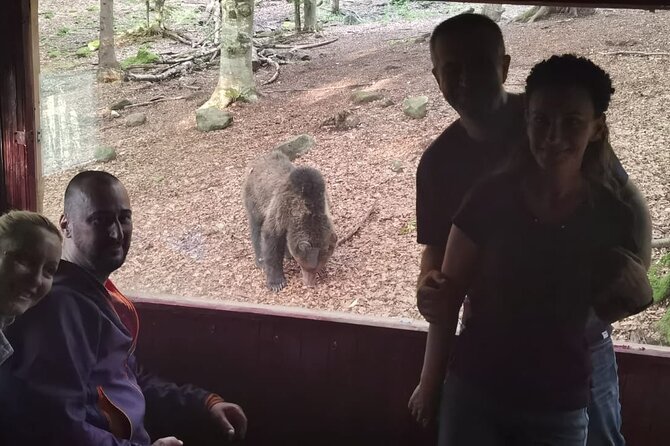 Watching Brown Bear Experience and Gulyas Taste From Brasov - Traveler Feedback and Experiences