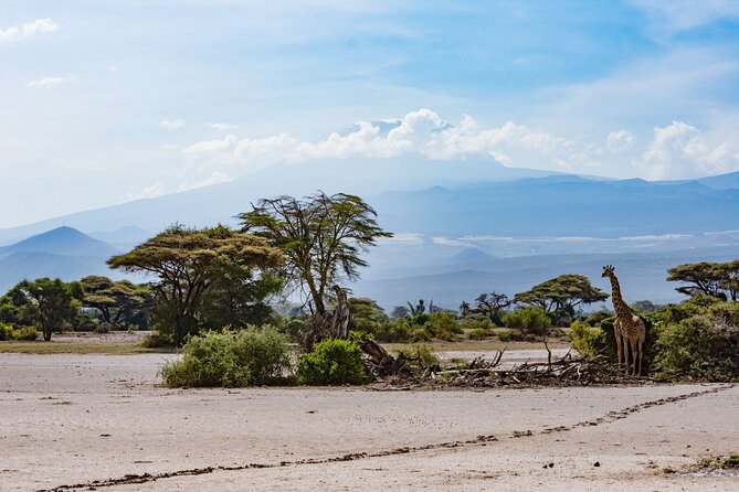West Kilimanjaro Cycling Adventures - Pricing and Cancellation Policy