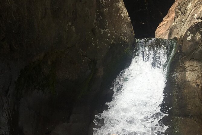 West Maui Adventure Tour With Private Guide - Health and Accessibility