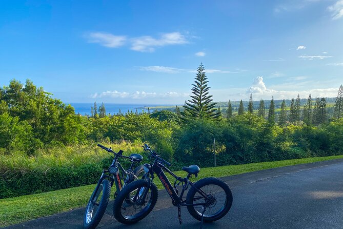West Maui Electric Bike Rentals - Scenic Bike Riding Experiences