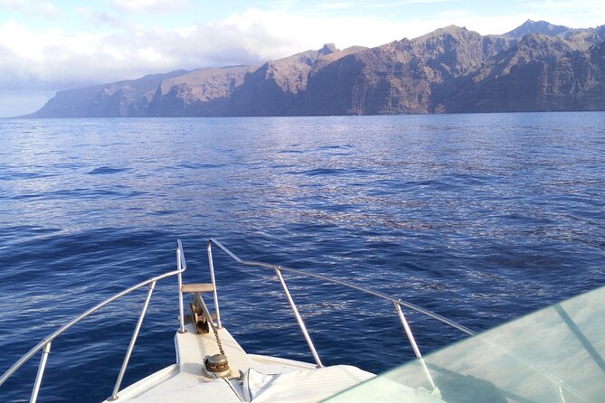Whale and Dolphin Watching Tour Los Gigantes and Masca in Small Groups - Product Code for Reference