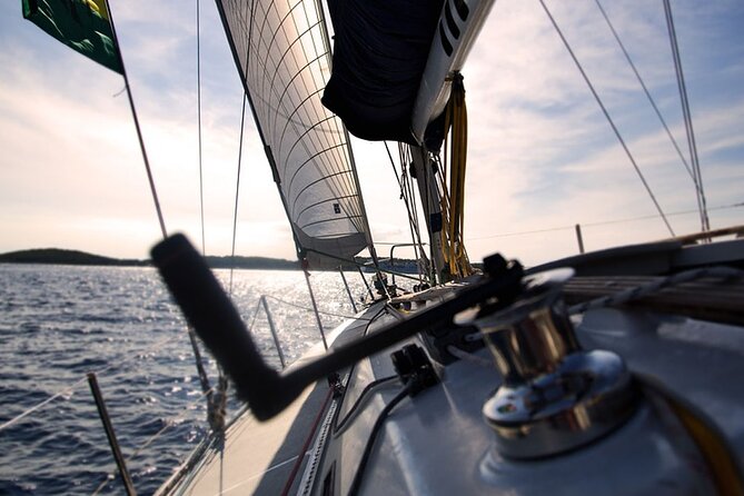 Whale & Dolphin Watching Boat Trip in Tenerife On a Sailing Boat (3 Hr) - Customer Feedback Highlights