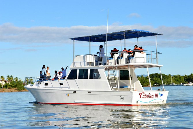 Whale & Dolphin Watching Cruise in Puerto Vallarta All Inclusive - Customer Experiences and Feedback