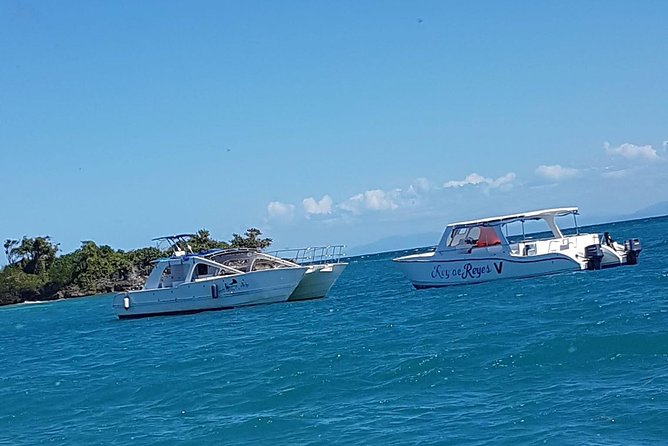 Whale Watching in Samana - Customer Reviews and Feedback