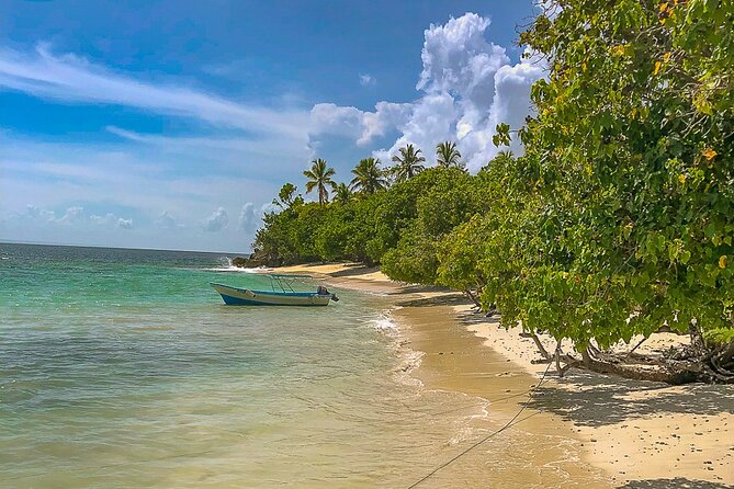 Whale Watching & Samana Bacardi Island - Breakfast and Dining Experiences
