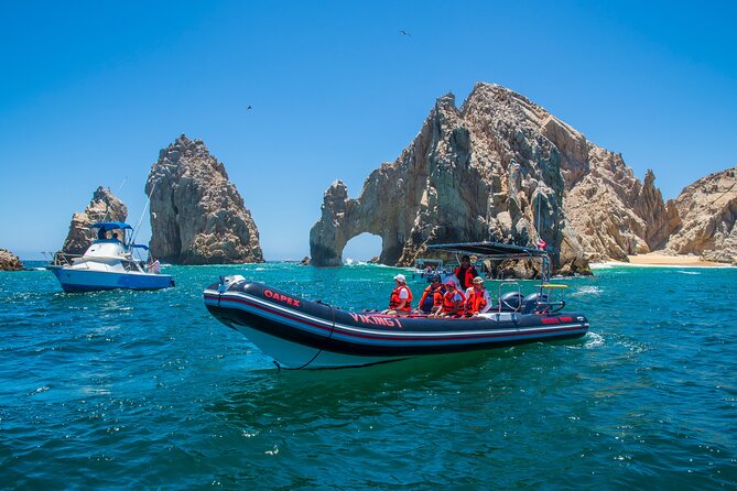 Whale Watching & Snorkeling Combo in Los Cabos With Photos Included - Customer Reviews and Experiences