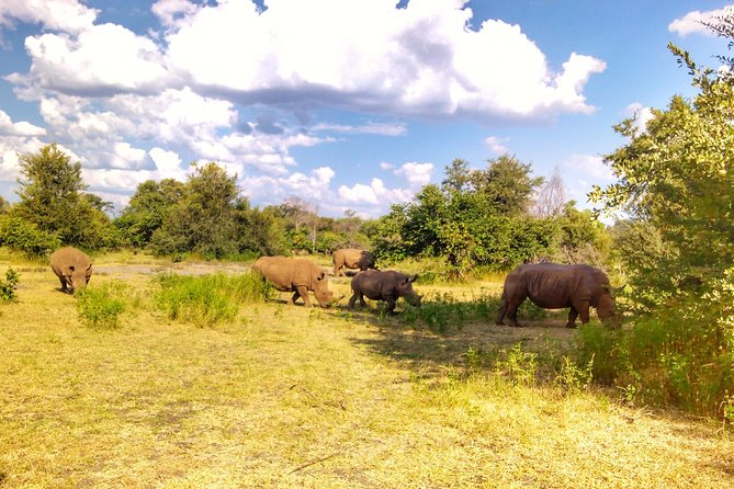 White Rhino Walk in the Mosi Oa Tunya - Tour Experience and Itinerary