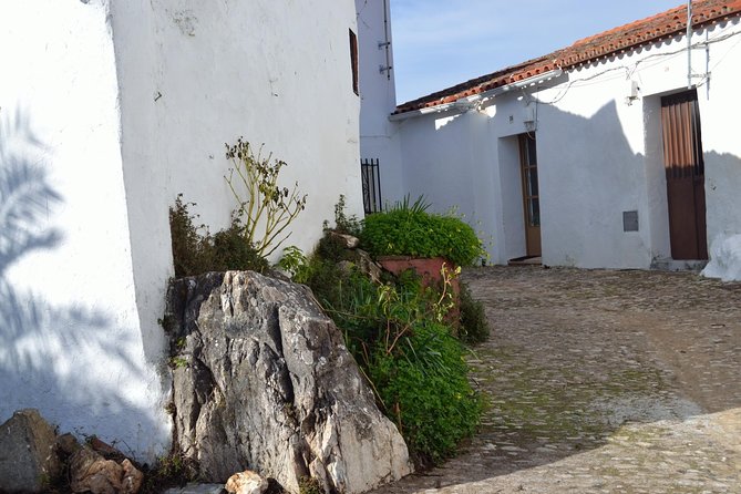 White Villages of Huelva Private Full Day Tour - Itinerary Overview