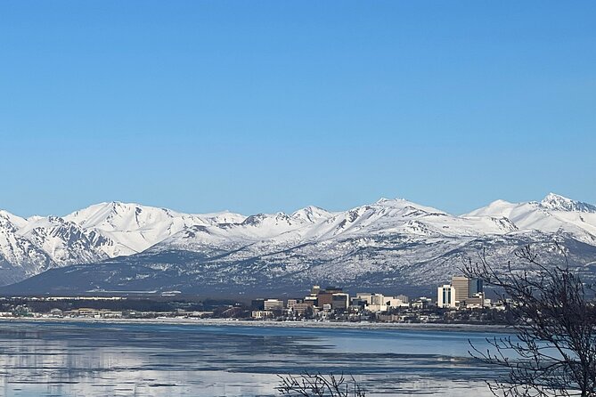 Whittier to Anchorage Land Transfer Tour - Guide and Driver Expertise